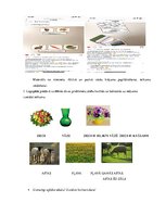 Konspekts 'Valodas sistēmas nepietiekamas attīstības strukturālais plāns', 171.