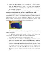 Konspekts 'Valodas sistēmas nepietiekamas attīstības strukturālais plāns', 177.