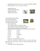 Konspekts 'Valodas sistēmas nepietiekamas attīstības strukturālais plāns', 178.