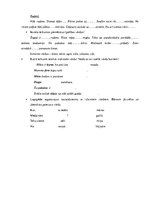 Konspekts 'Valodas sistēmas nepietiekamas attīstības strukturālais plāns', 194.