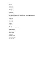 Konspekts 'Valodas sistēmas nepietiekamas attīstības strukturālais plāns', 197.