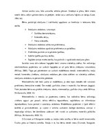 Konspekts 'Valodas sistēmas nepietiekamas attīstības strukturālais plāns', 208.