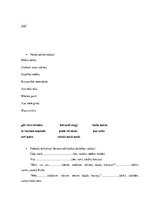 Konspekts 'Valodas sistēmas nepietiekamas attīstības strukturālais plāns', 220.