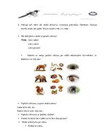 Konspekts 'Valodas sistēmas nepietiekamas attīstības strukturālais plāns', 226.