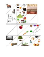 Konspekts 'Valodas sistēmas nepietiekamas attīstības strukturālais plāns', 229.