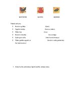 Konspekts 'Valodas sistēmas nepietiekamas attīstības strukturālais plāns', 234.