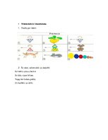 Konspekts 'Valodas sistēmas nepietiekamas attīstības strukturālais plāns', 239.