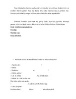 Konspekts 'Valodas sistēmas nepietiekamas attīstības strukturālais plāns', 246.