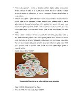 Konspekts 'Valodas sistēmas nepietiekamas attīstības strukturālais plāns', 255.