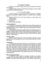 Referāts 'Stratēģiskā vadīšana', 6.