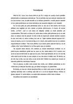 Referāts 'NLO reliģija "Debesu vārti"', 6.