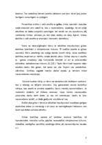 Referāts 'Daudzpusīgu spēju attīstīšana dažādos mācību priekšmetos speciālajā skolā', 8.