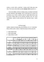 Referāts 'Daudzpusīgu spēju attīstīšana dažādos mācību priekšmetos speciālajā skolā', 15.