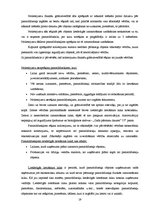 Referāts 'Pamatlīdzekļu uzskaite, kontrole un analīze uzņēmumā "X"', 19.