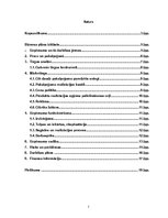 Biznesa plāns 'Līgumsabiedrība "Bigmuskulis"', 2.