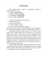 Biznesa plāns 'Līgumsabiedrība "Bigmuskulis"', 3.