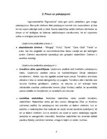 Biznesa plāns 'Līgumsabiedrība "Bigmuskulis"', 6.