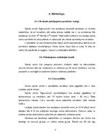 Biznesa plāns 'Līgumsabiedrība "Bigmuskulis"', 9.