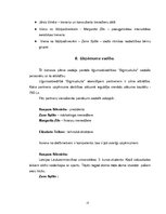 Biznesa plāns 'Līgumsabiedrība "Bigmuskulis"', 13.