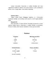 Biznesa plāns 'Līgumsabiedrība "Bigmuskulis"', 14.