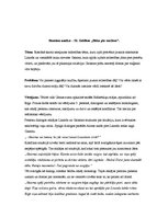 Konspekts 'M.Geidānes romāna "Bāka pār mežiem" analīze', 1.