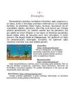 Referāts 'Datorspēļu industrijas attīstība', 3.