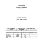 Referāts 'Kursa projekts priekšmetā "Vadības teorija"', 1.