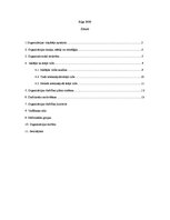 Referāts 'Kursa projekts priekšmetā "Vadības teorija"', 2.