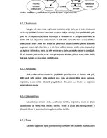 Referāts 'Kursa projekts priekšmetā "Vadības teorija"', 6.