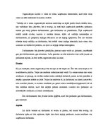 Referāts 'Kursa projekts priekšmetā "Vadības teorija"', 9.