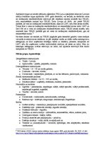 Konspekts 'Bite Latvija tirgus situācijas analīze', 4.