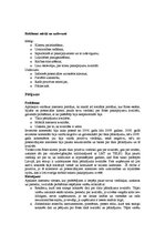 Konspekts 'Bite Latvija tirgus situācijas analīze', 5.