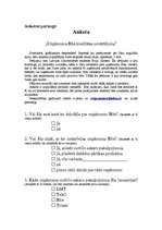 Konspekts 'Bite Latvija tirgus situācijas analīze', 7.