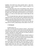 Referāts 'Konkurētspējas un konkurences pārākuma jēdziens', 41.