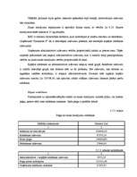 Referāts 'Konkurētspējas un konkurences pārākuma jēdziens', 48.