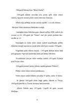 Referāts 'Alberts Šeibelis', 12.