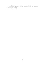 Referāts 'Alberts Šeibelis', 13.