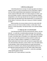 Referāts 'Sporta nozīme jauniešu brīvā laika pavadīšanā', 11.