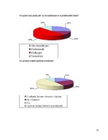 Referāts 'Sporta nozīme jauniešu brīvā laika pavadīšanā', 20.