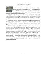 Referāts 'Laika menedžments', 6.