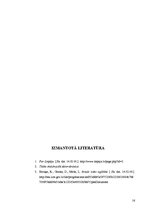 Prakses atskaite 'Pirmsskolas izglītības iestādē vērošanas prakses atskaite', 16.