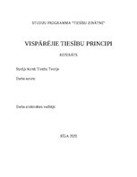 Referāts 'Vispārējie tiesību principi', 1.