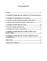 Referāts 'Vispārējie tiesību principi', 2.