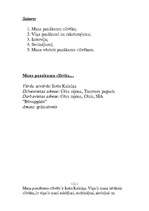 Konspekts 'Mans panākumu cilvēks', 2.