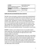 Konspekts 'Komunikācijas nacionālās kultūratšķirības', 5.