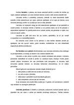 Konspekts 'Liecinieks, tā tiesības un pienākumi', 2.