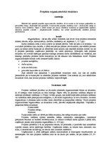 Referāts 'Projektu organizatoriskā struktūra', 1.