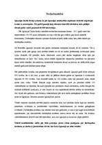 Referāts 'Igaunijas ekonomiskais raksturojums', 12.