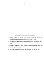 Prakses atskaite 'Uzņēmuma gada pārskata sastāvs un sastadīšanas principi', 29.