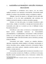 Diplomdarbs 'Sabiedrība ar ierobežotu atbildību', 7.